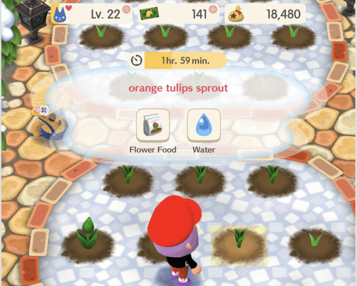 Animal Crossing Pocket Camp - Regar flores Animal Crossing Pocket Camp - Regar flores