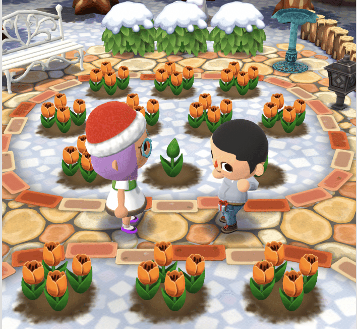 Animal Crossing Pocket Camp - Visitar jardín amigo Animal Crossing Pocket Camp - Visitar jardín amigo