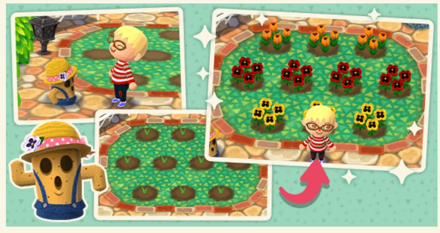 Animal Crossing Pocket Camp Animal Crossing