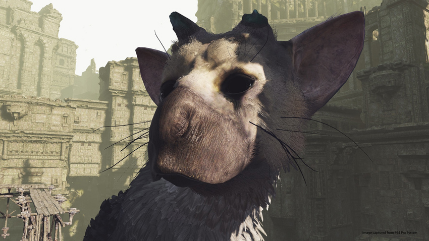 Last Guardian VR 4 Last Guardian VR 4