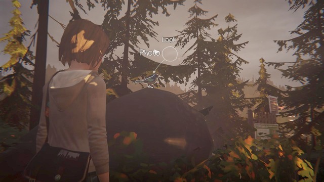 Life is Strange móviles Life is Strange móviles