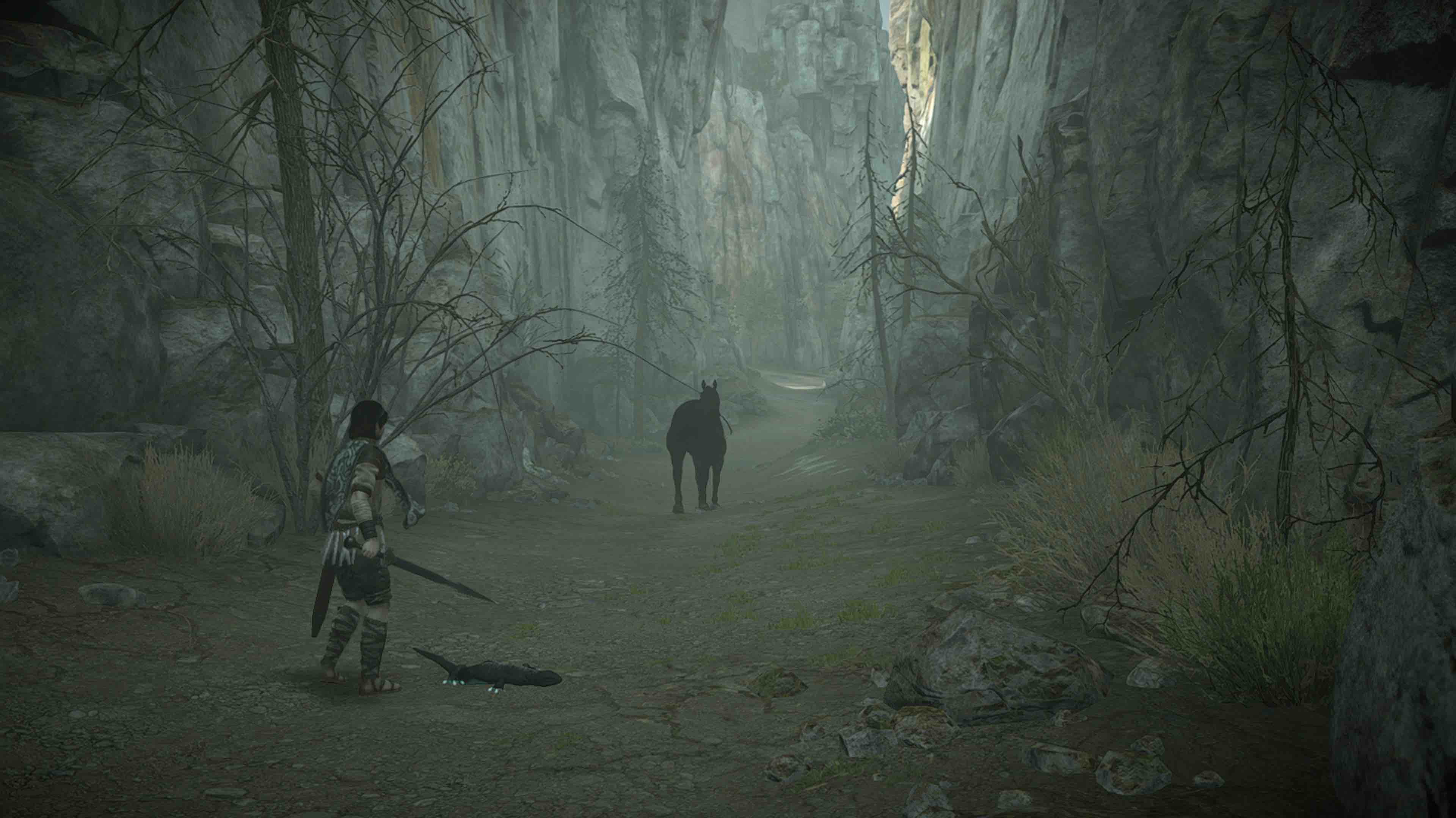 Shadow_of_the_Colossus_Avance_11 Shadow_of_the_Colossus_Avance_11