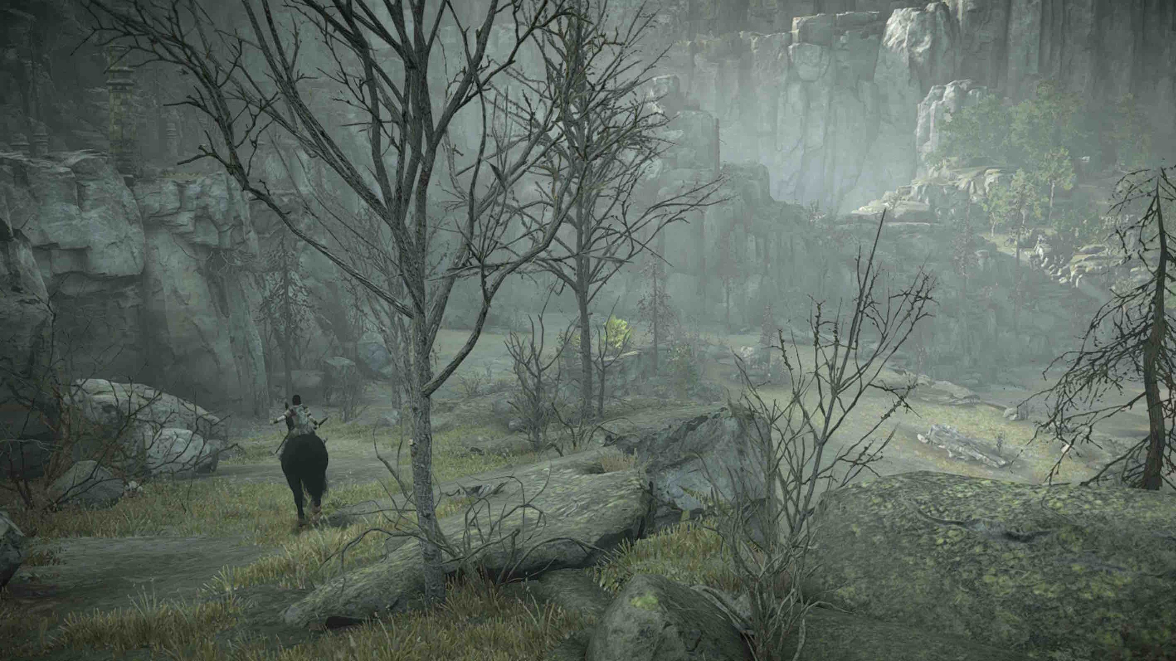El remake de Shadow of the Colossus dejará unos entornos mucho más sobrecargados (árboles, flora, fauna...). Será mucho más impresionante.