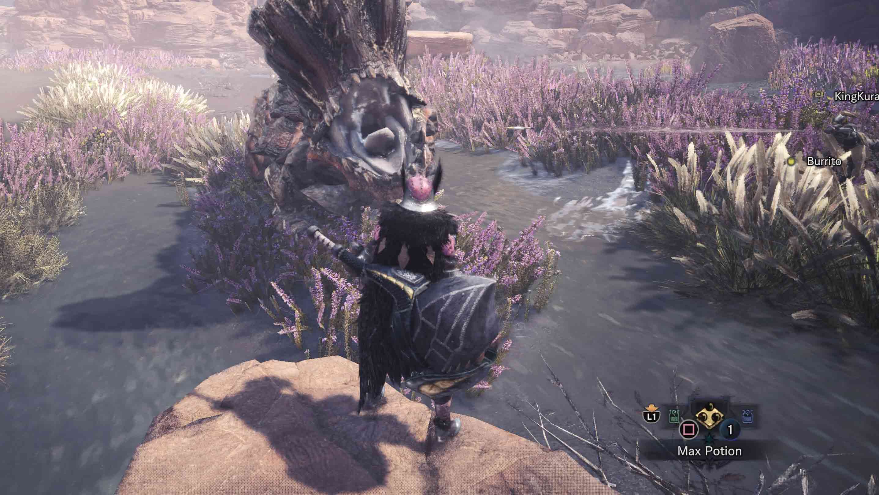 Monster Hunter World Monster Hunter World