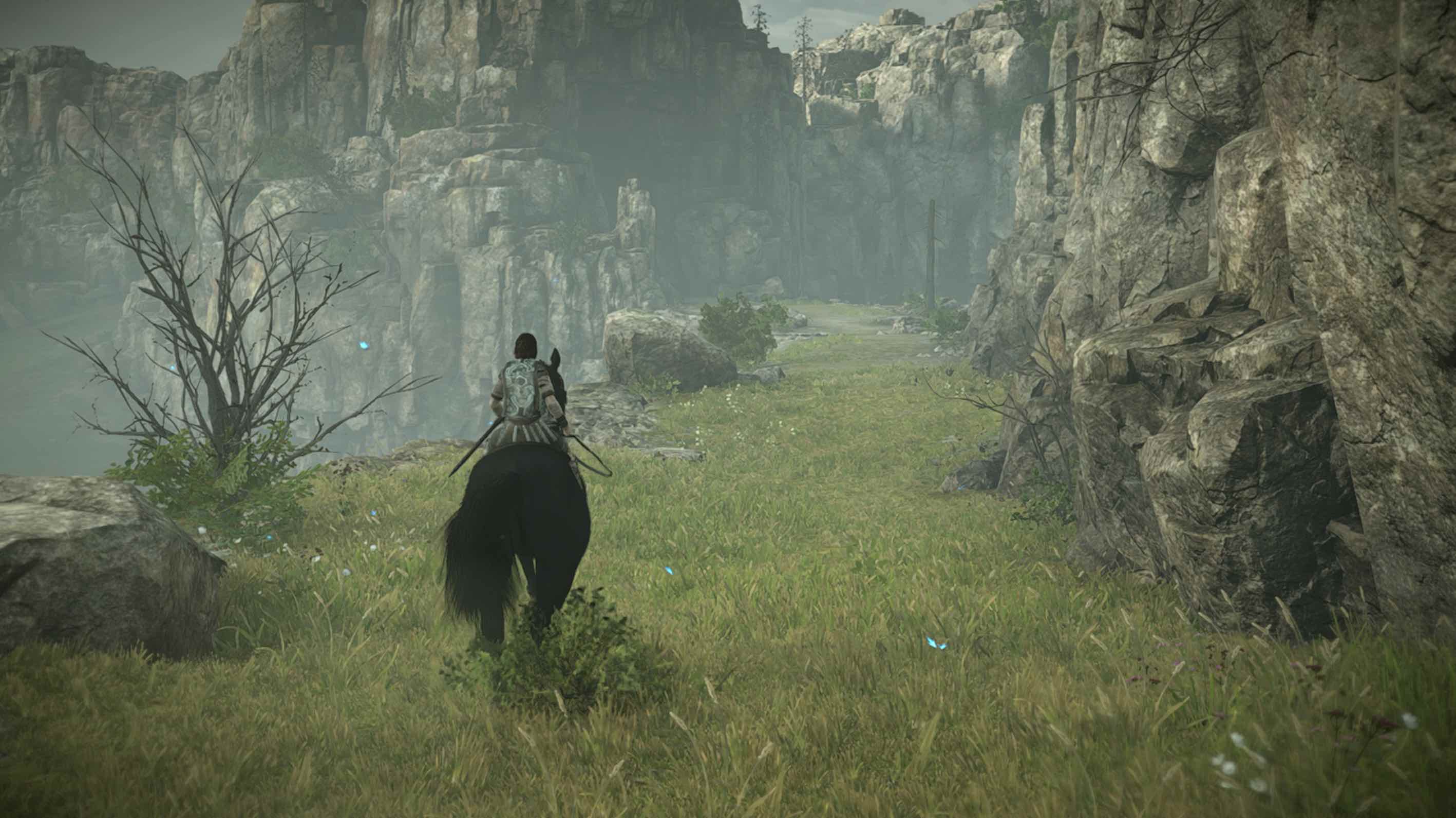 Shadow_of_the_Colossus_Coloso_6_1 Shadow_of_the_Colossus_Coloso_6_1
