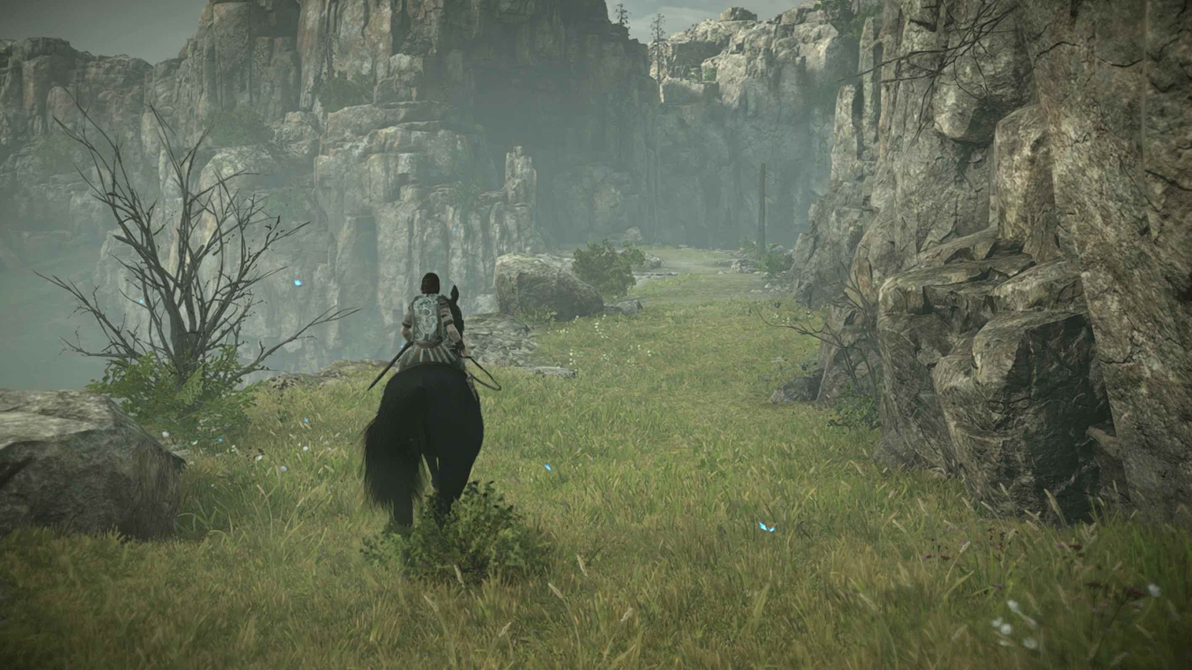 Shadow_of_the_Colossus_Coloso_6_1