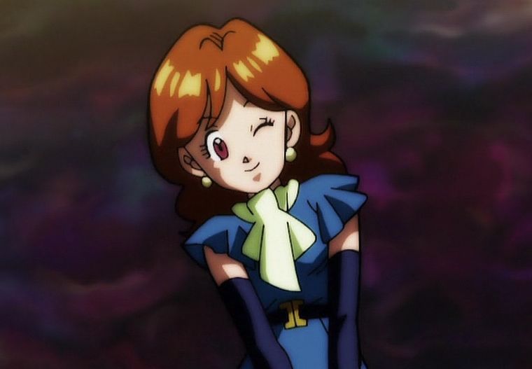 Dragon Ball Super Guerreras Dragon Ball Super Guerreras