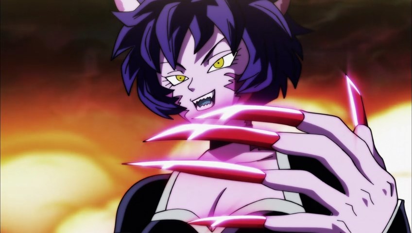 Dragon Ball Super Guerreras Dragon Ball Super Guerreras