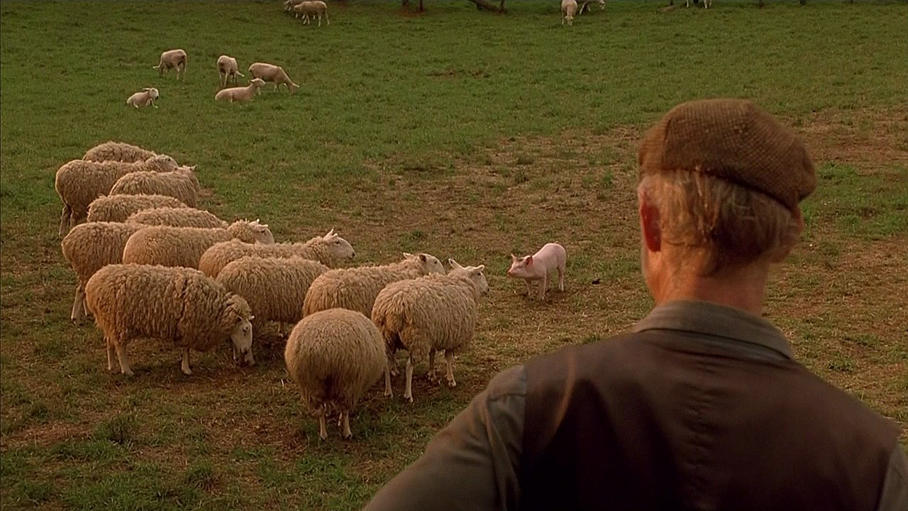 Babe, el cerdito valiente (1995) Películas nominadas a Oscars que gustaban a los críticos pero no al público