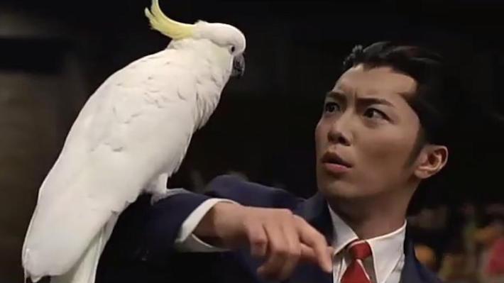 Phoenix Wright pelicula Phoenix Wright pelicula