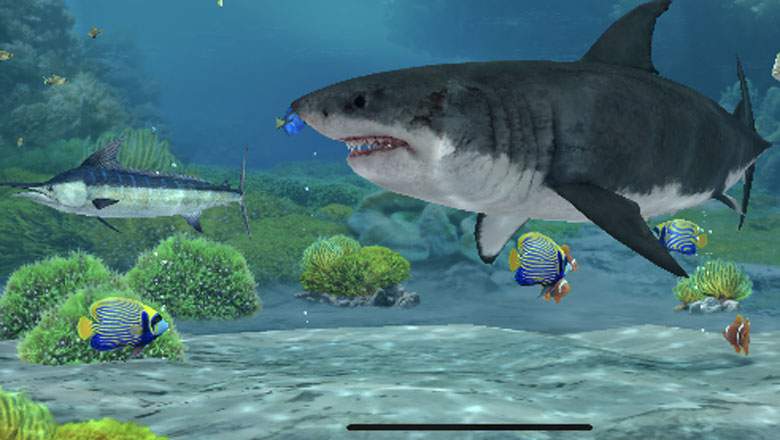 Fishing Strike Fishing Strike