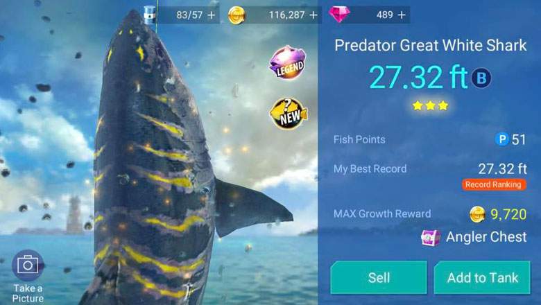 Fishing Strike Fishing Strike