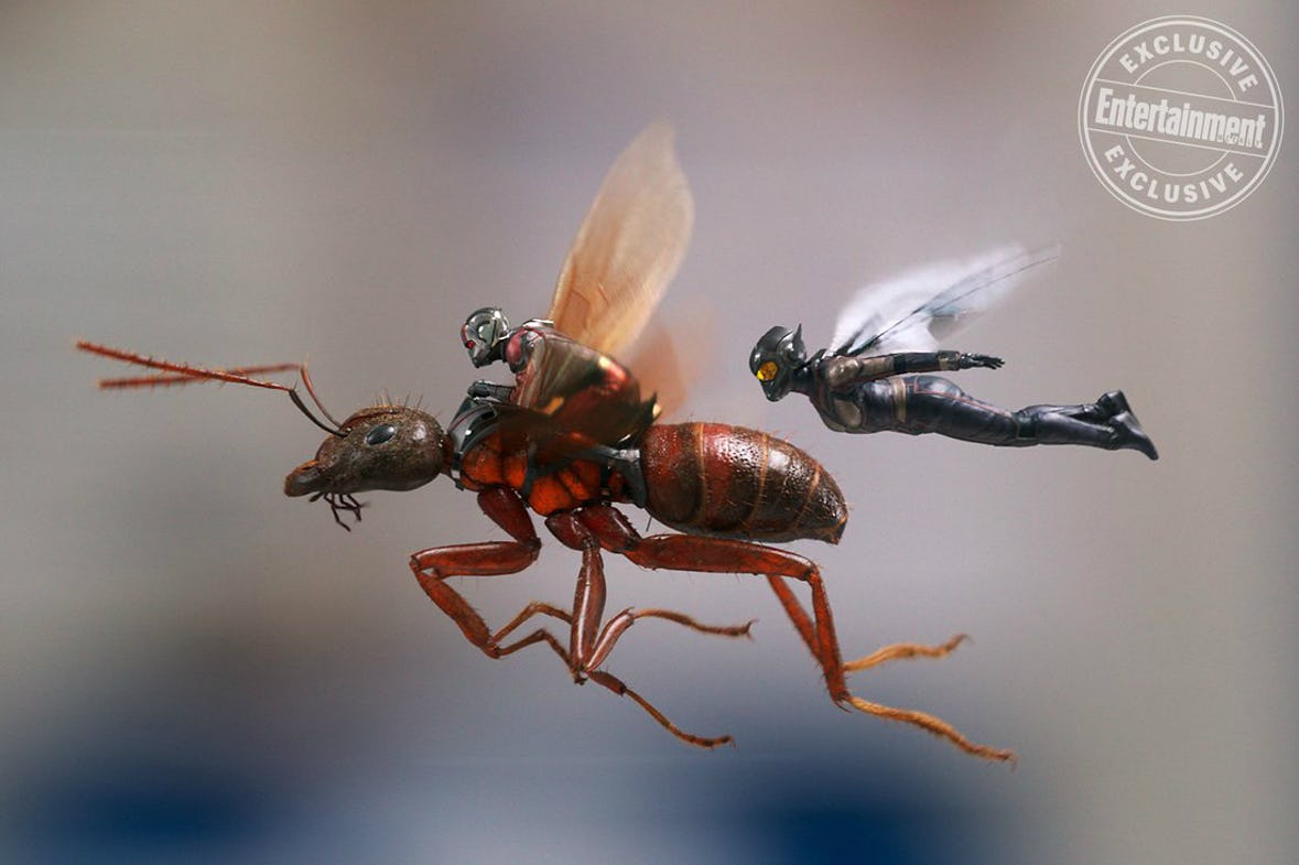 Nuevas imágenes de Ant-Man y la Avispa Nuevas imágenes de Ant-Man y la Avispa