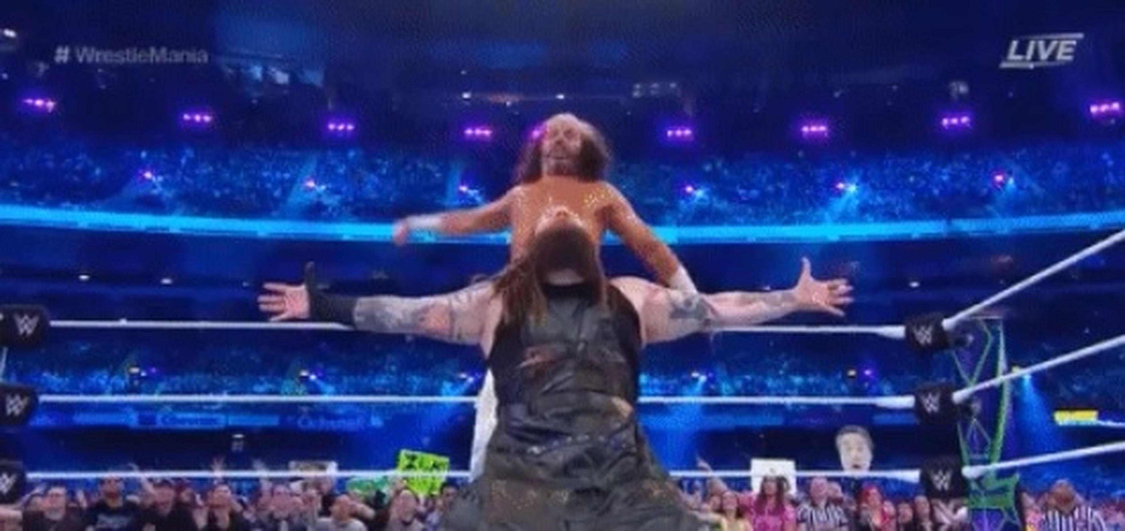 WWE - WrestleMania 34 - Matt Hardy y Bray Wyatt