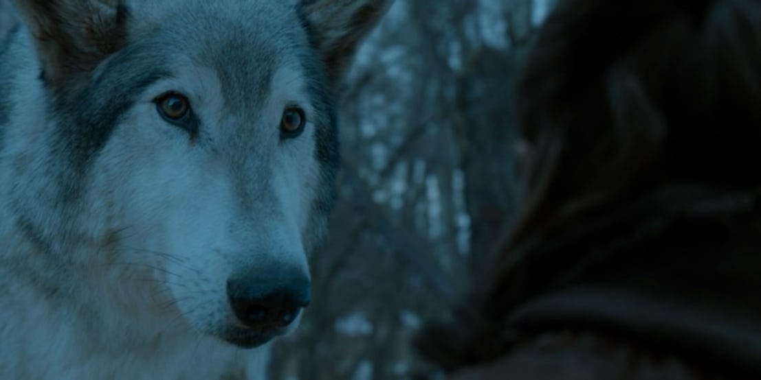 Nymeria Stark