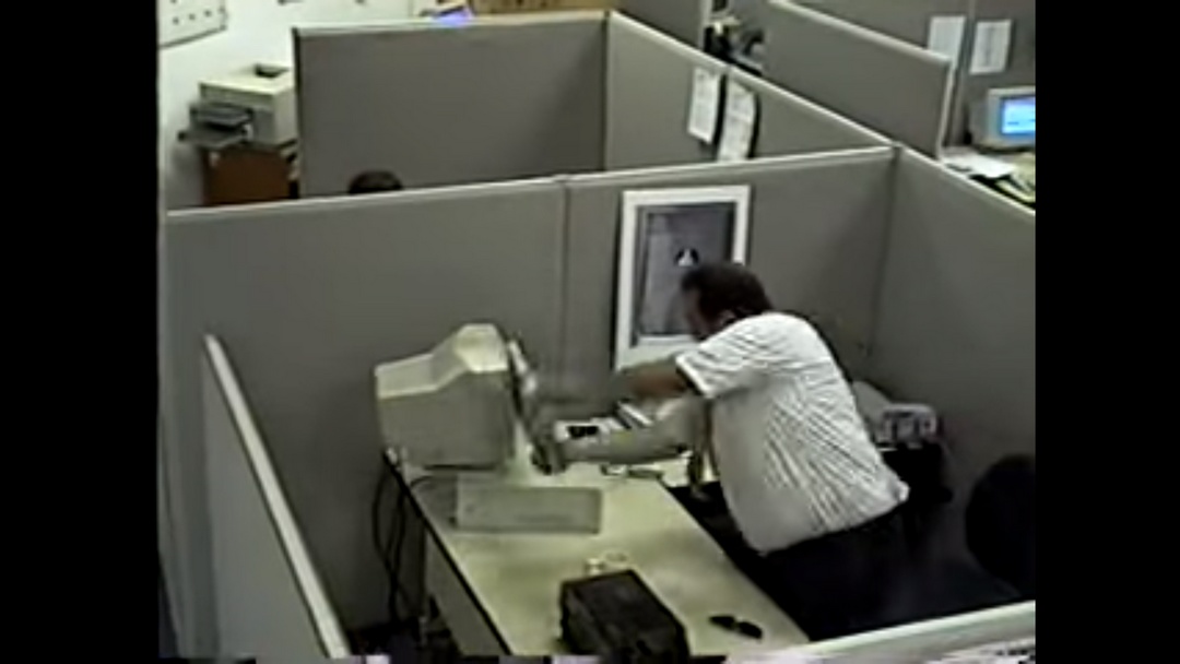 15 vídeos caseros que se hicieron virales de un día para otro Mejores videos virales