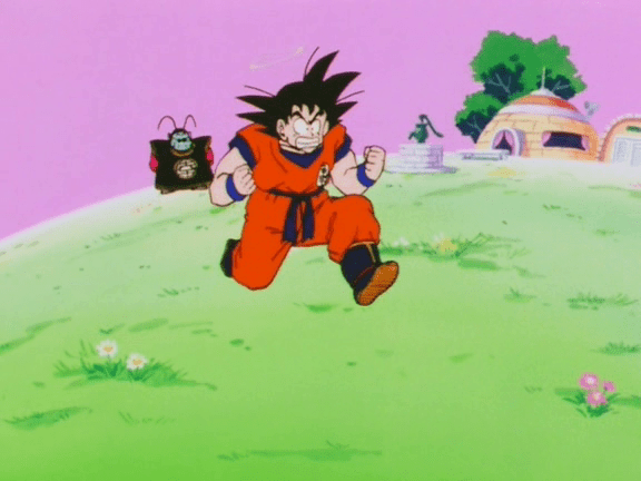Dragon Ball Z capítulo 19 Dragon Ball Z capítulo 19