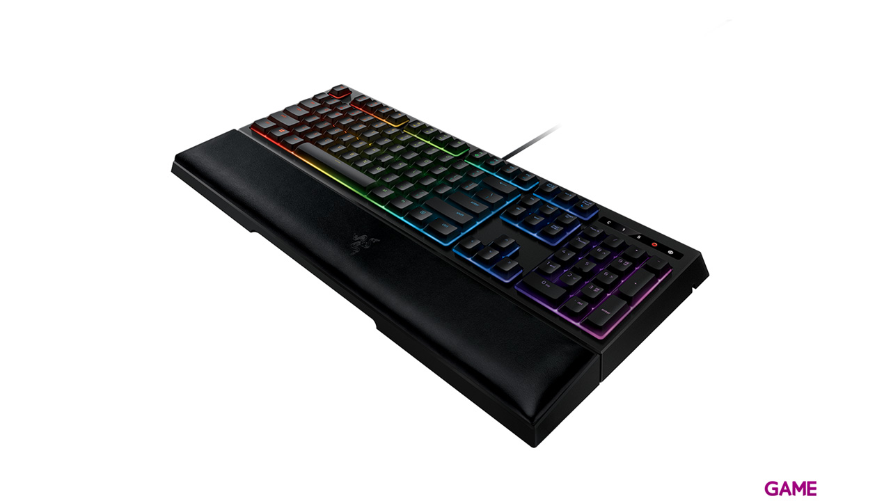Razer ornata Razer ornata