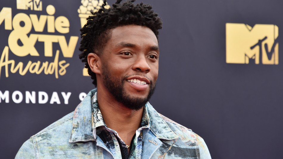 chadwick boseman black panther