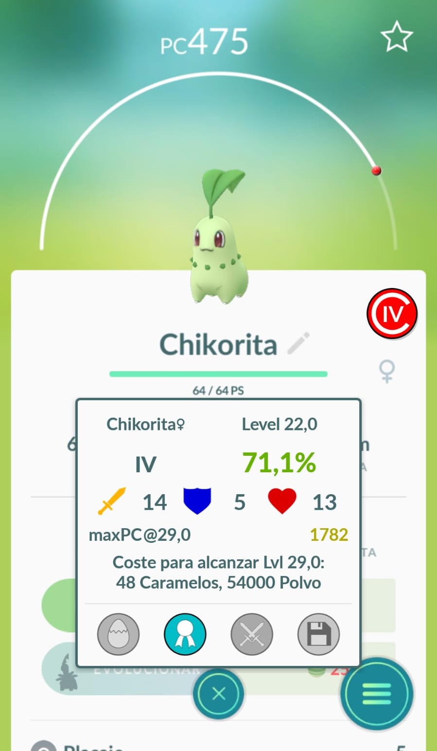 Chikorita chicorita