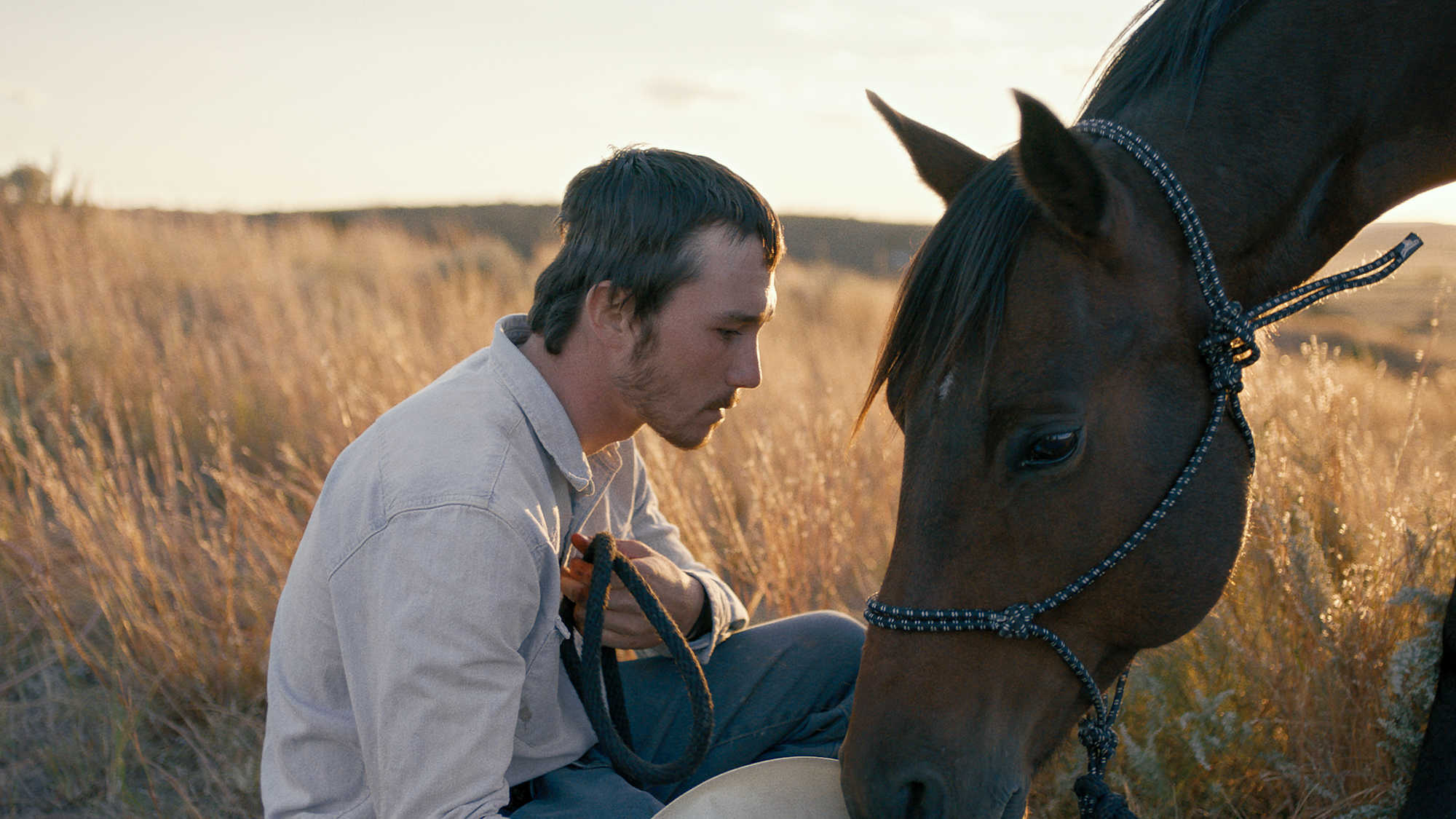 The Rider The Rider
