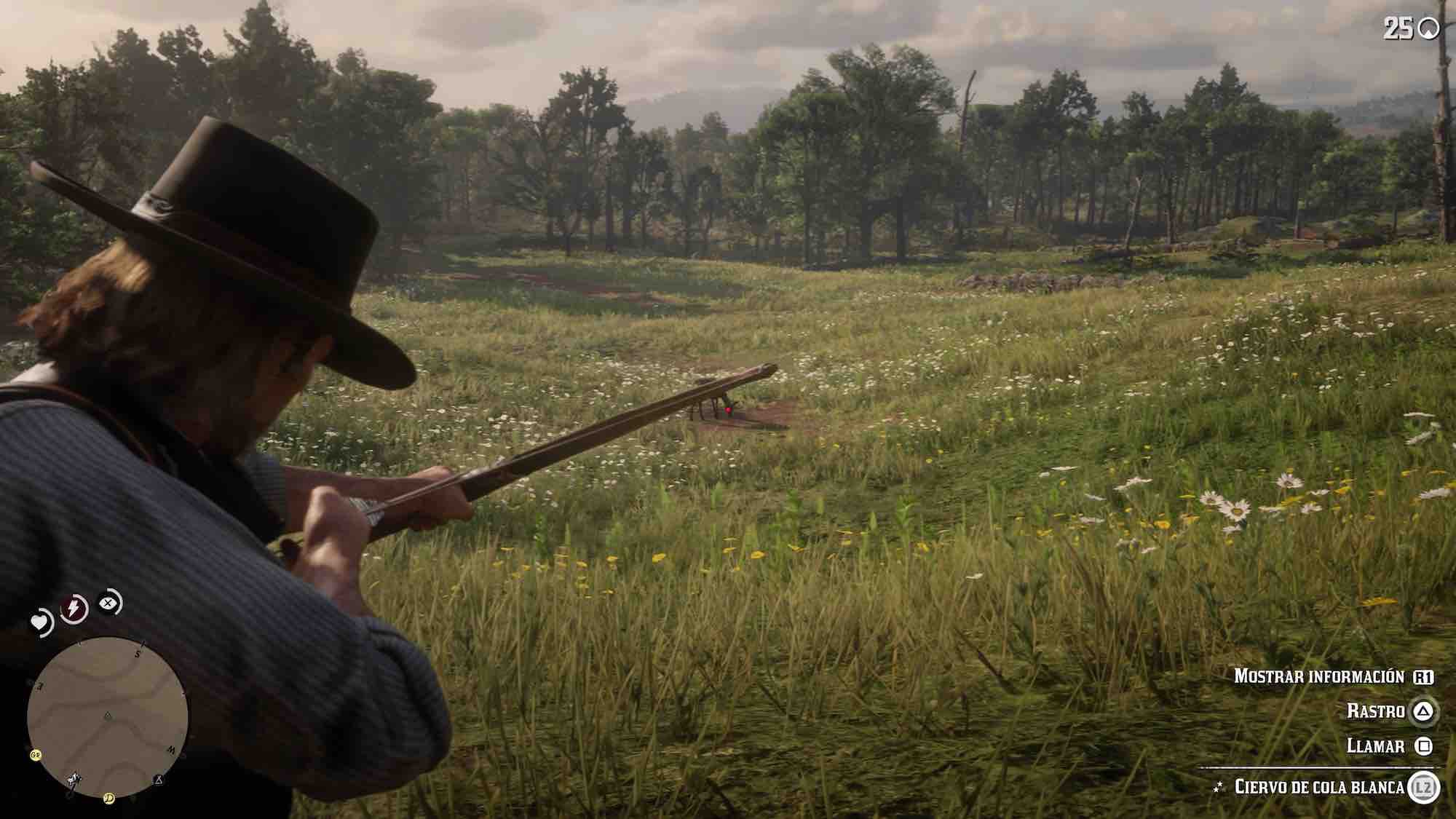 Resultado de imagen de piel en muy buen estado rdr2