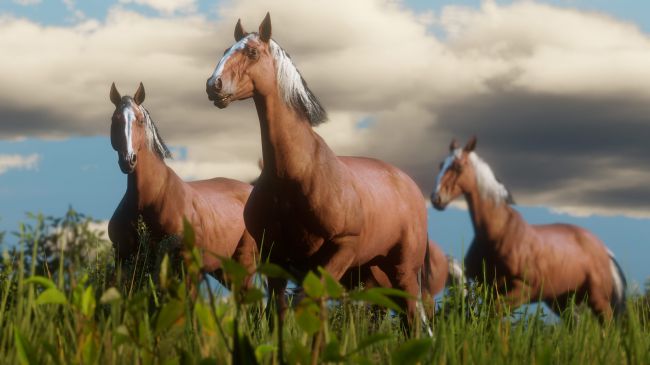 Red Dead Redemption 2 Red Dead Redemption 2