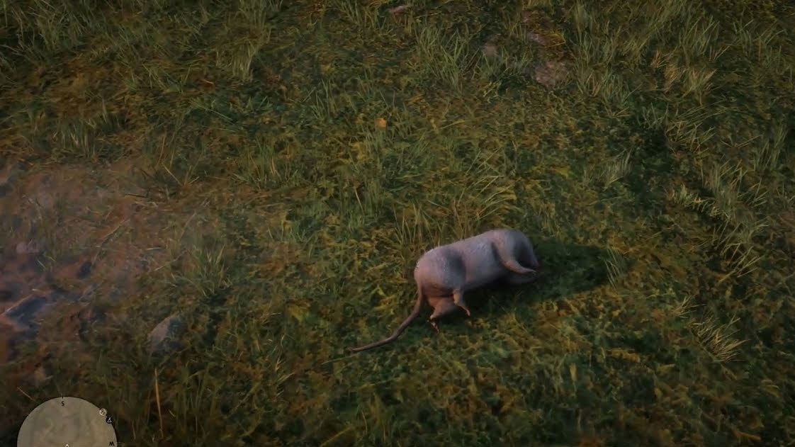 Zarigüeya Red Dead Redemption 2 Zarigüeya Red Dead Redemption 2