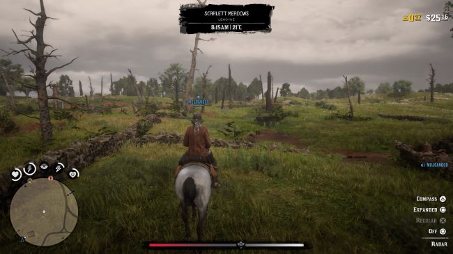 Red Dead Redemption 2 Red Dead Redemption 2