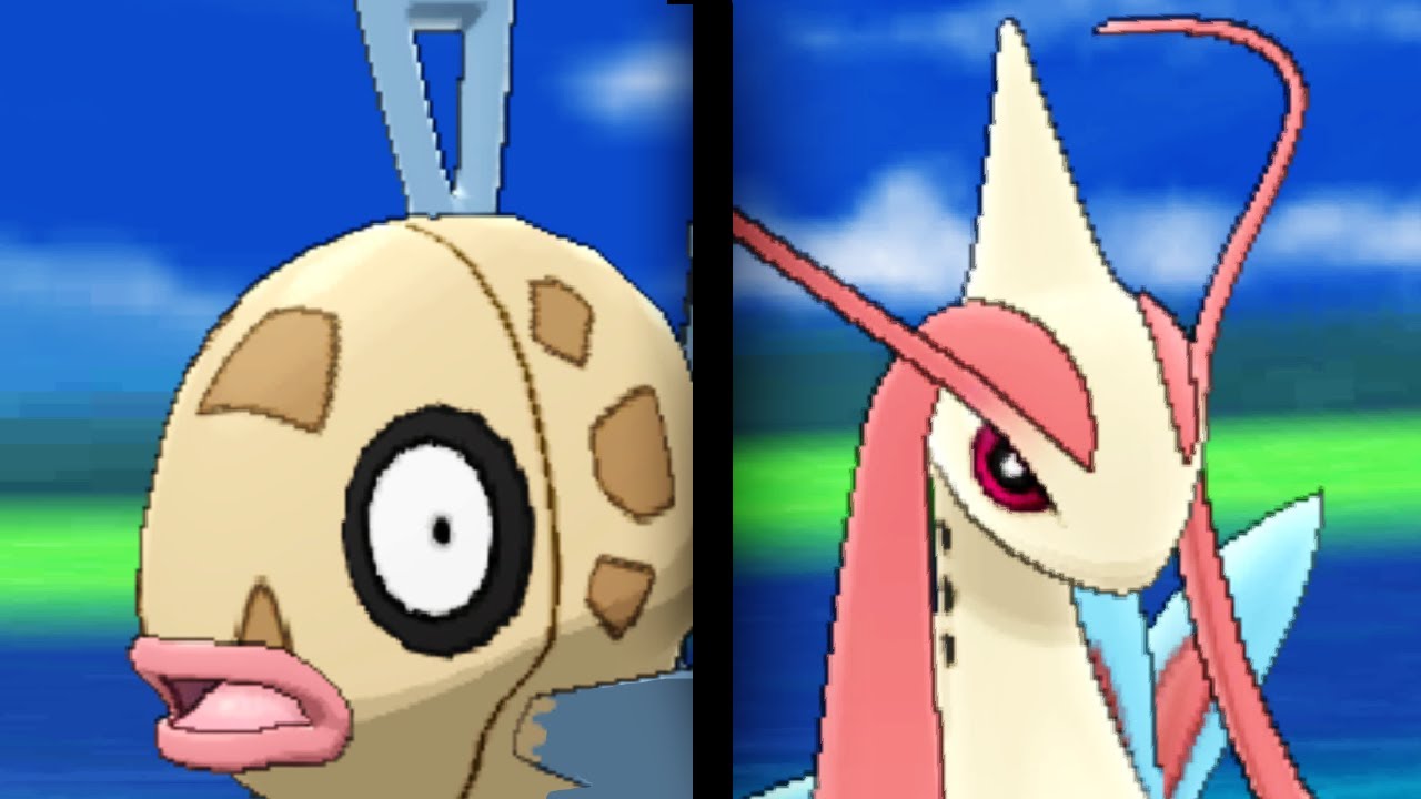 Milotic y Feebas pokémon,
