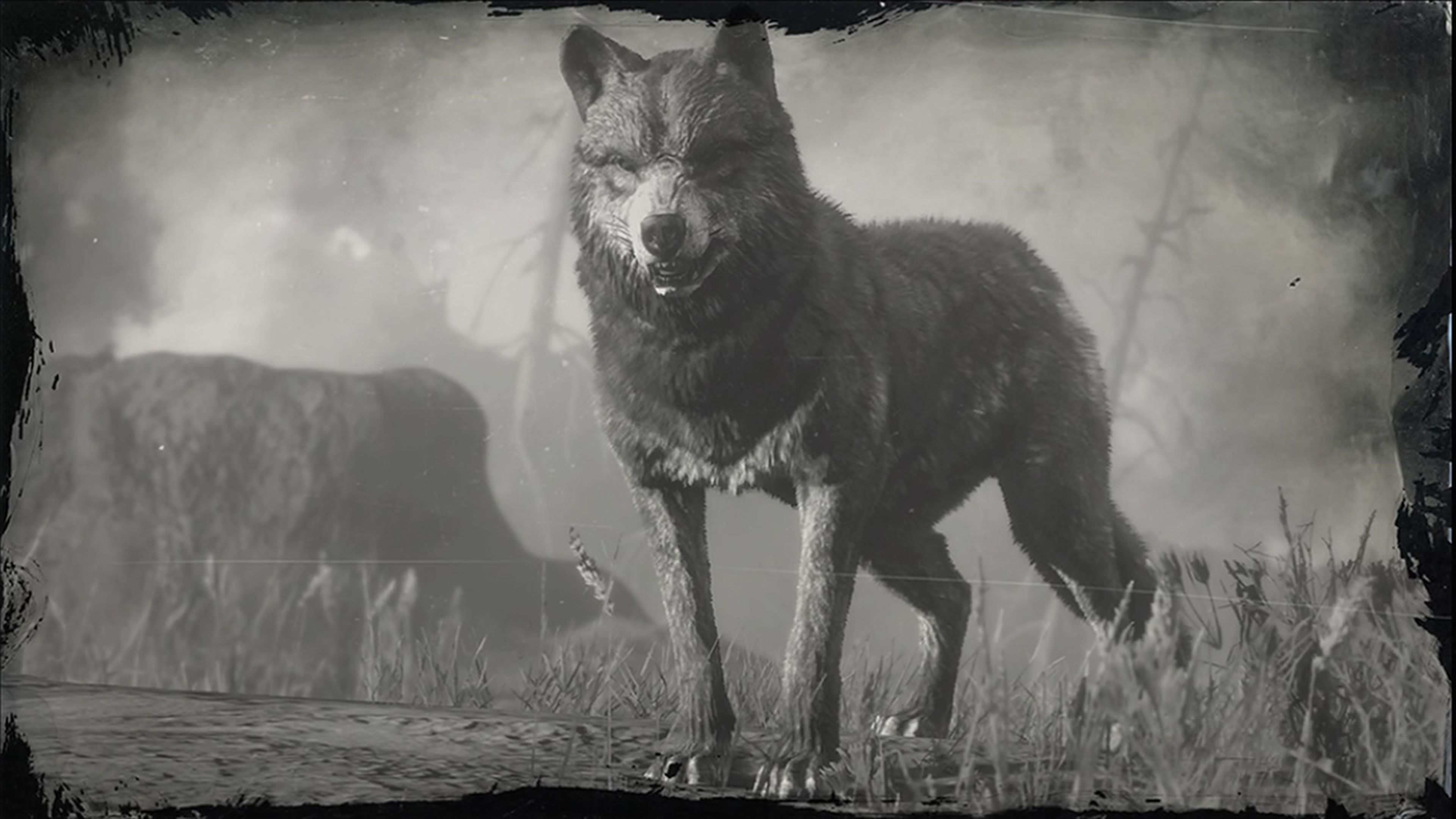 Dónde encontrar al hombre lobo salvaje en Red Dead Redemption 2 | Hobby  Consolas