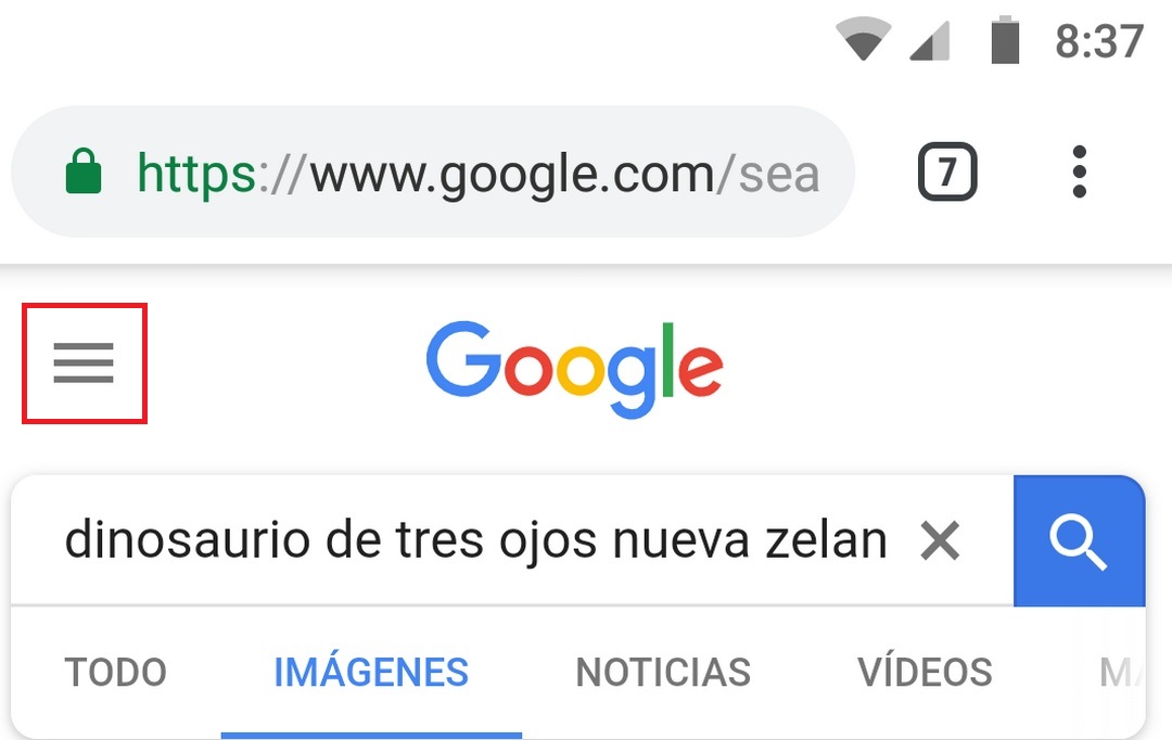 Cómo borrar el historial de Google Google