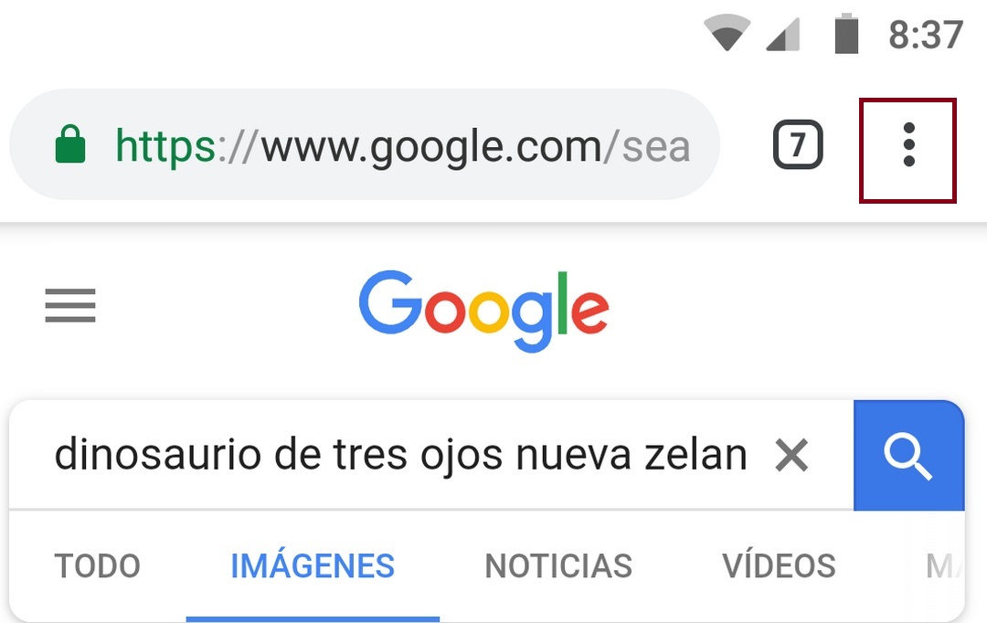 Cómo borrar el historial de Google Google