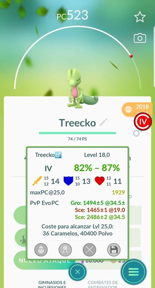 Treecko Treecko