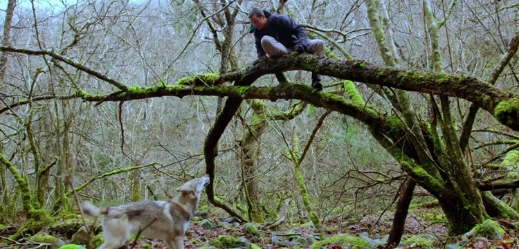 You vs Wild, la nueva serie interactiva de Netflix You vs Wild, la nueva serie interactiva de Netflix