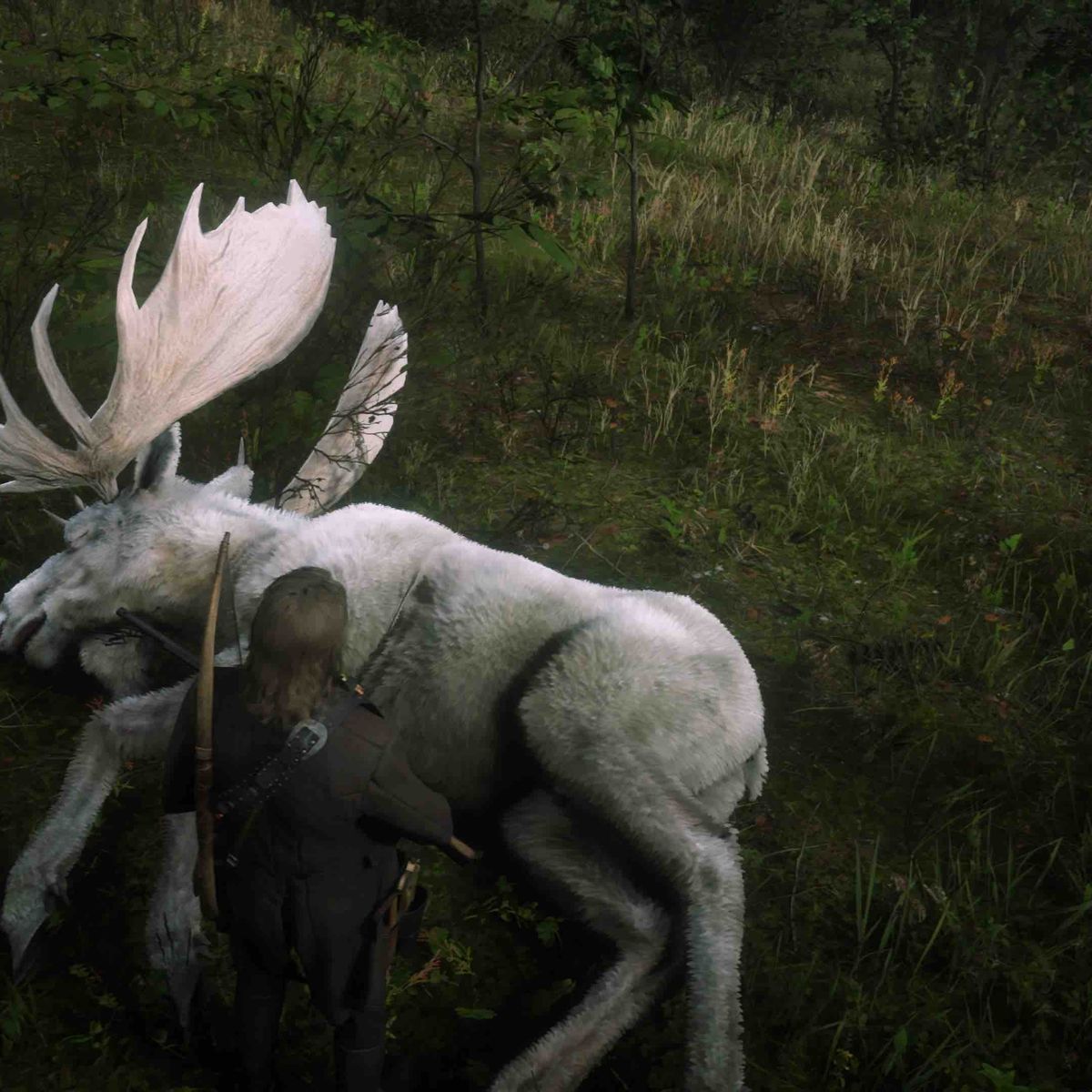 Cómo encontrar todos los tesoros del Negro hueso bosque en RDR Online