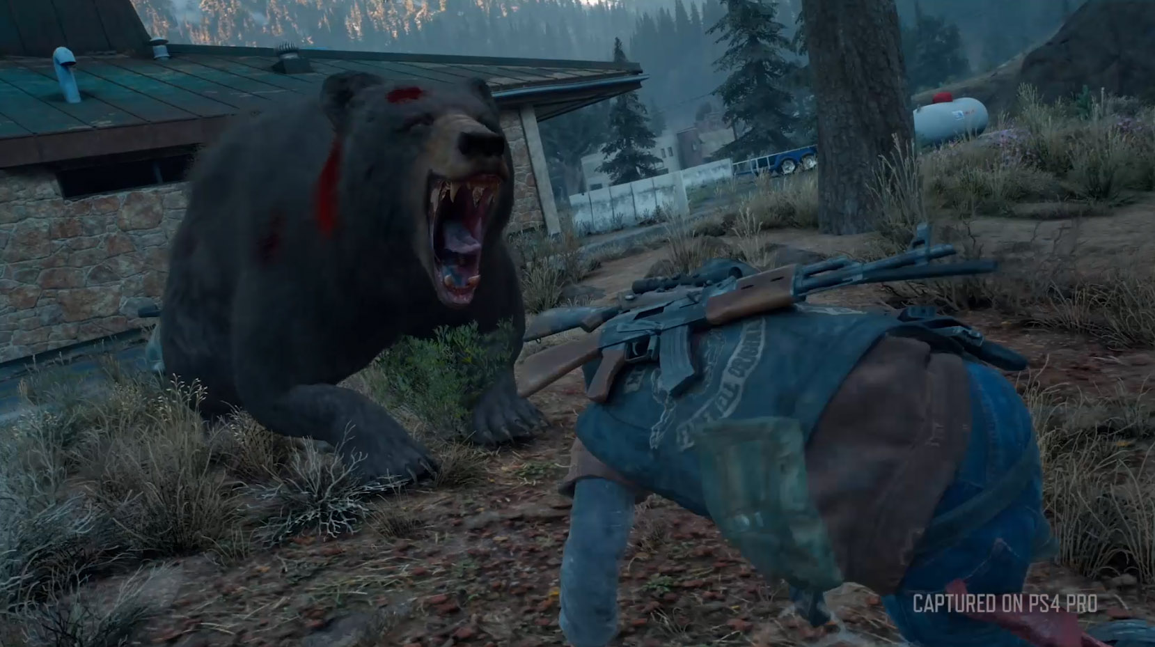 Days Gone Promo PS MUNDO FAUNA Days Gone Promo PS MUNDO