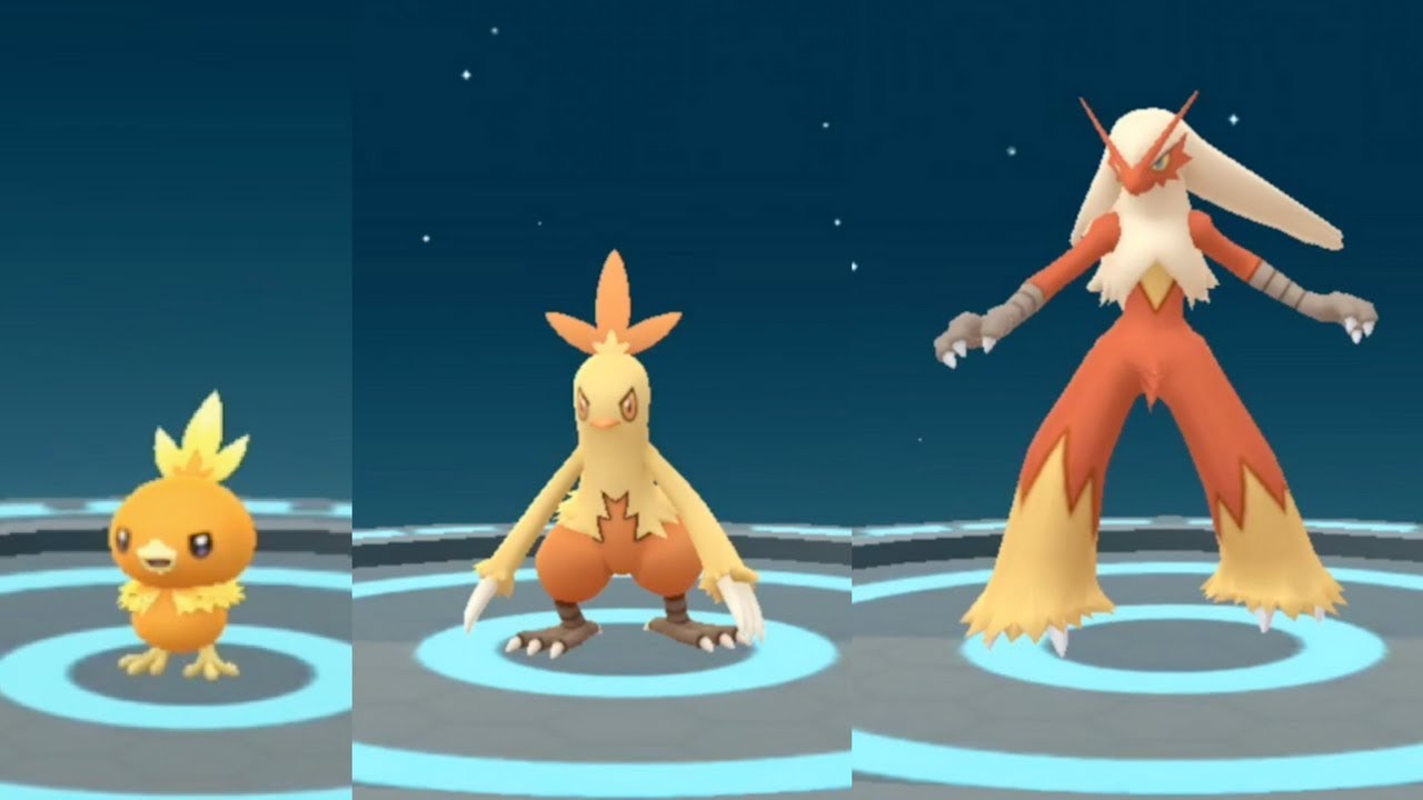 Day Community Torchic Pokémon GO