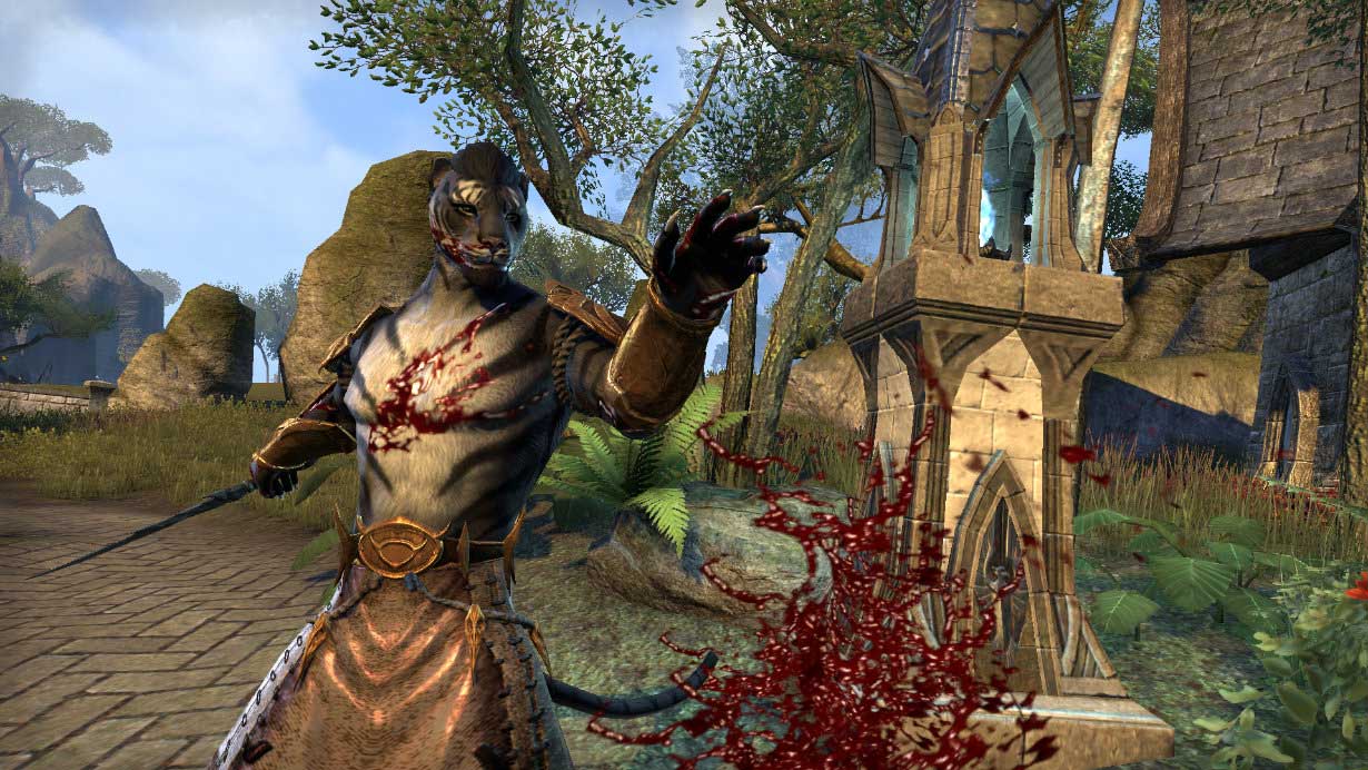 The Elder Scrolls Blades The Elder Scrolls Blades