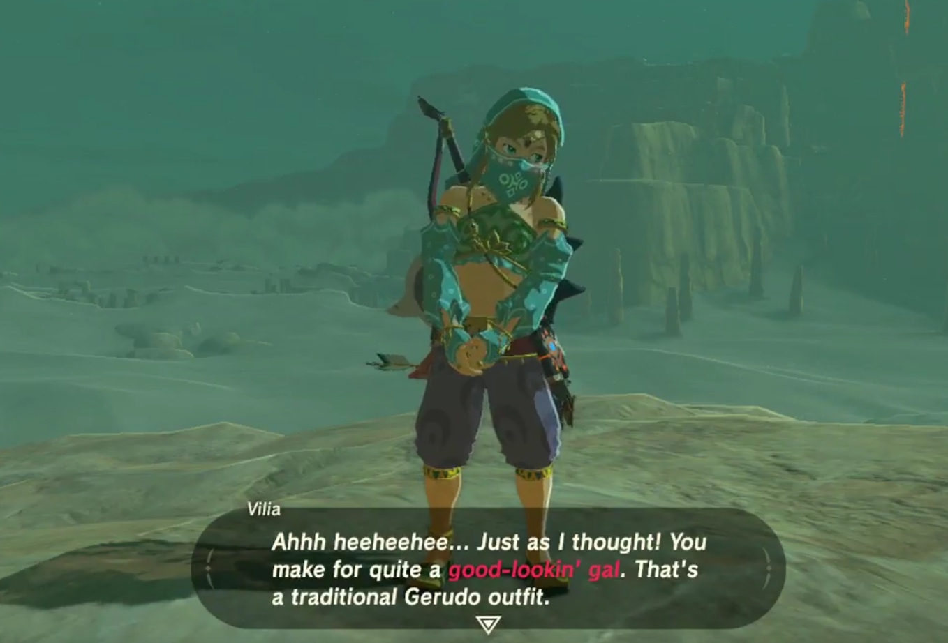 Link Gerudo Versión Traje de Link para entrar en Gerudo