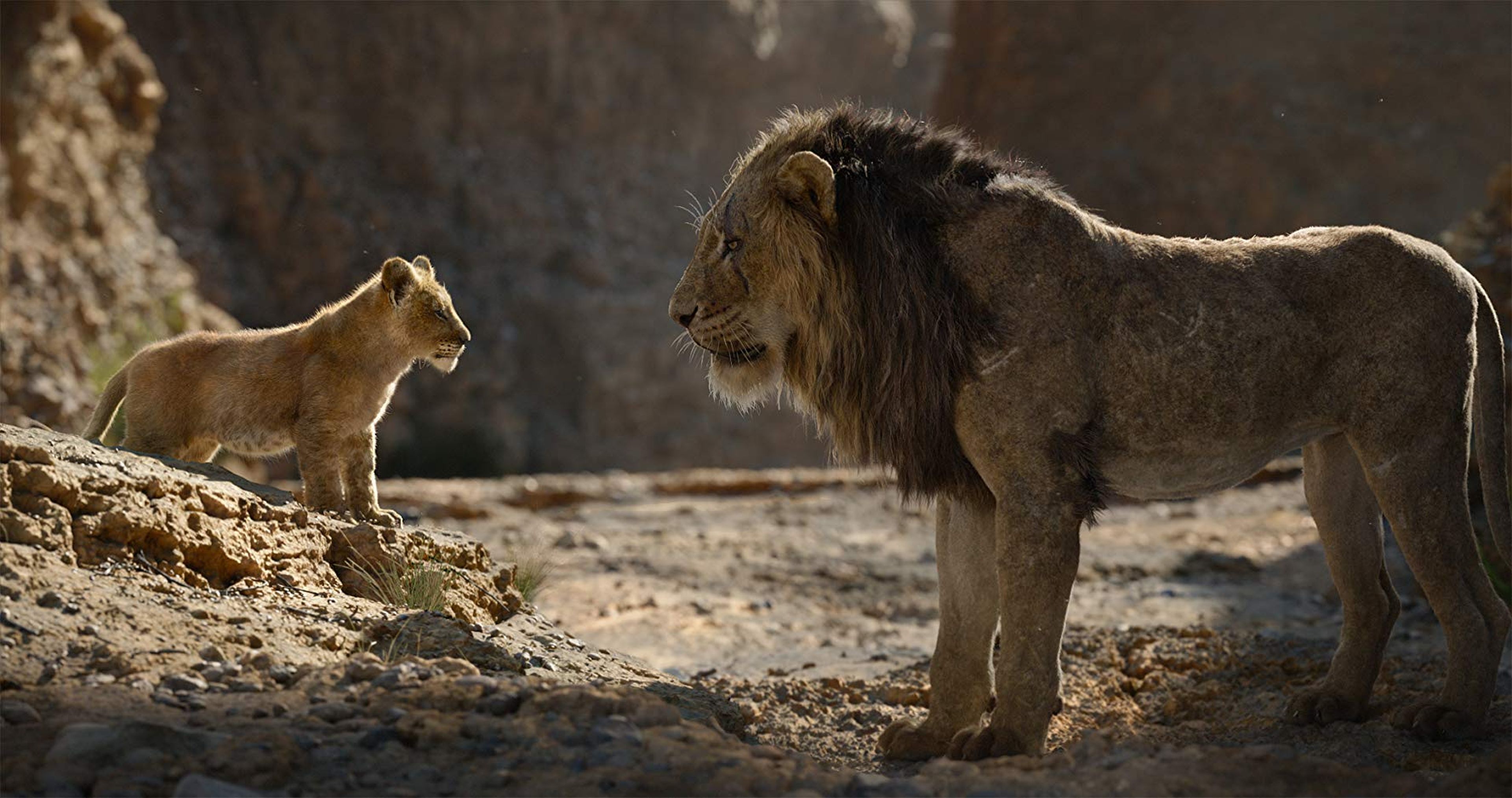 El rey león (2019)