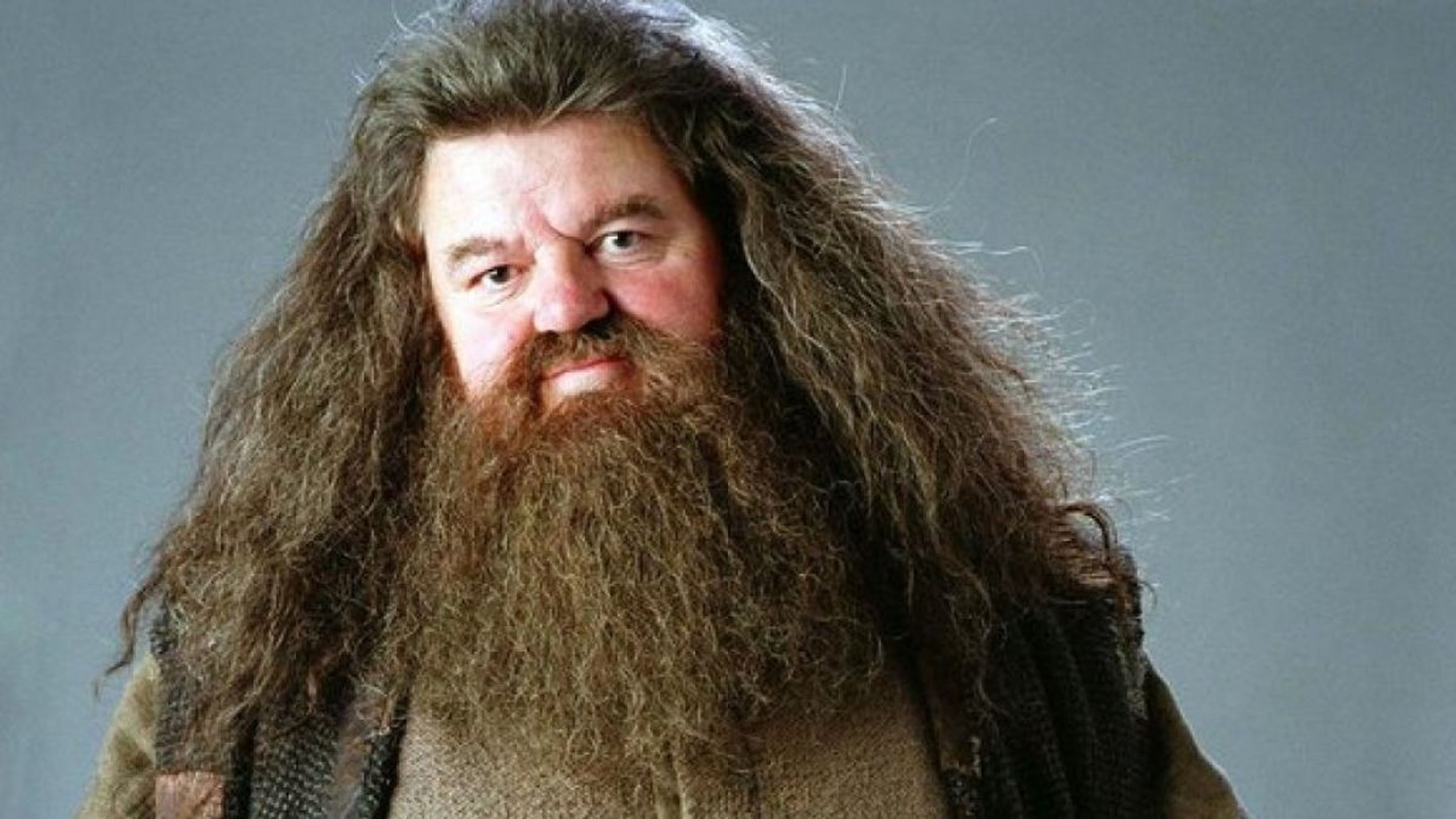 Hagrid de Harry Potter
