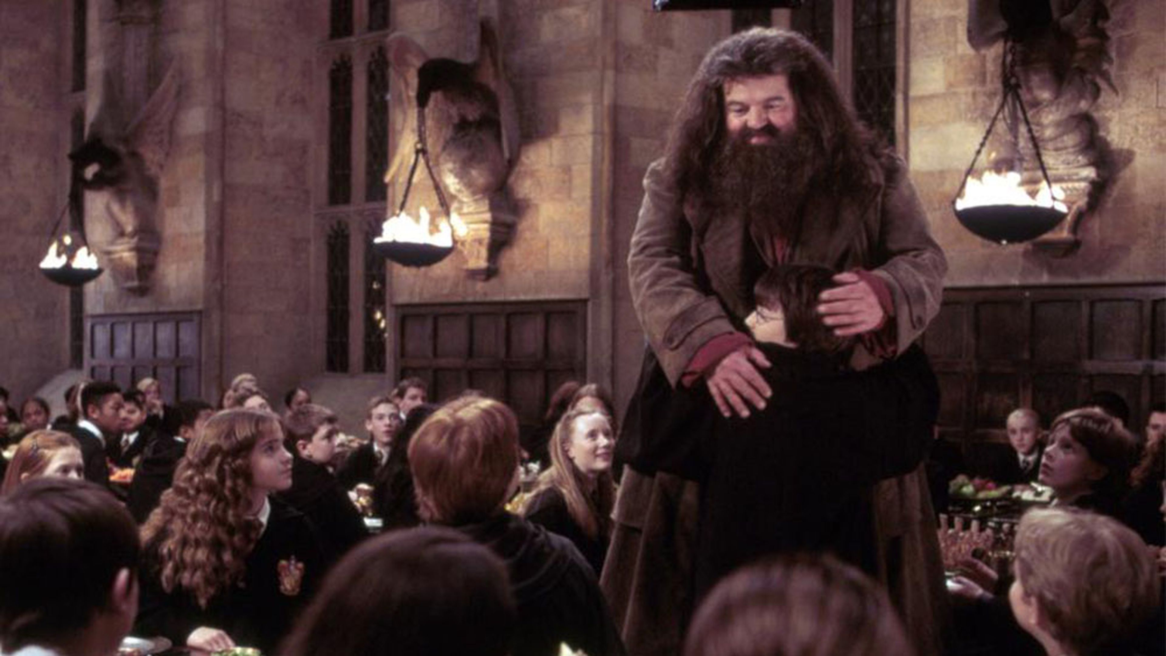 Hagrid Harry Potter