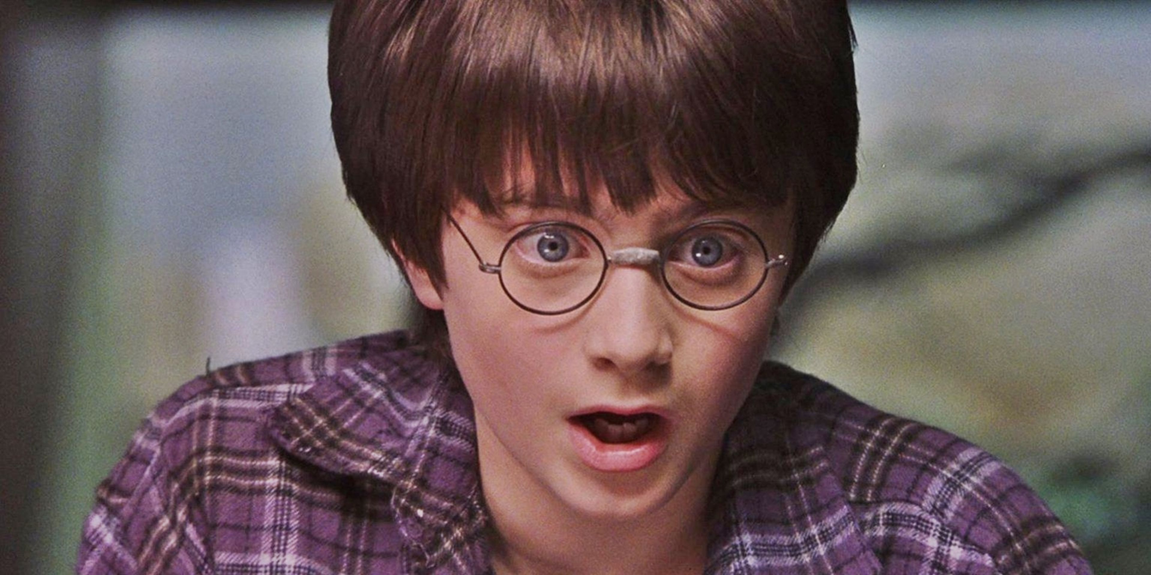  Cosas De Harry Potter