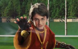 Harry Potter - Buscador Quidditch