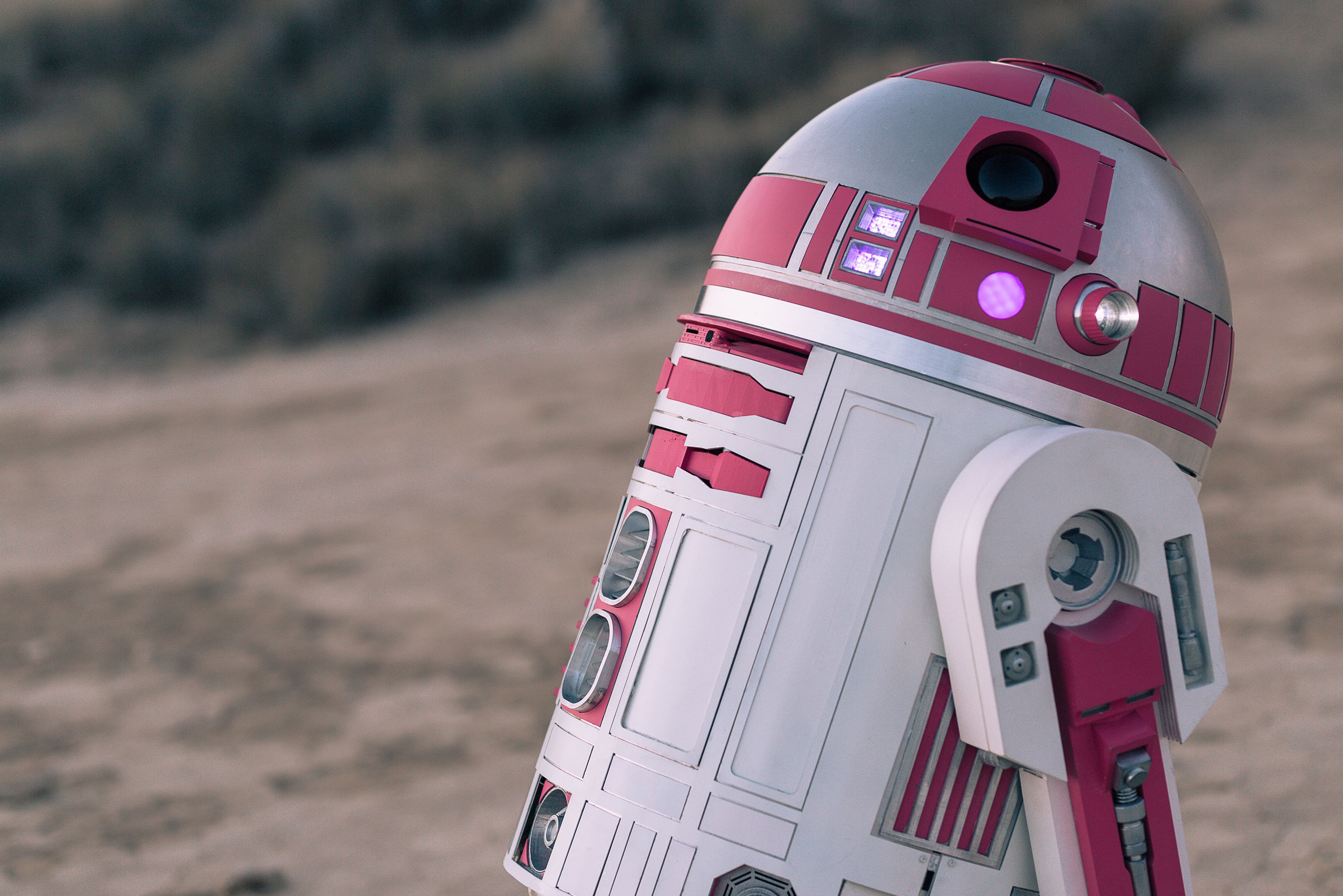 R2-KT - Fotografía de The Pink Force
