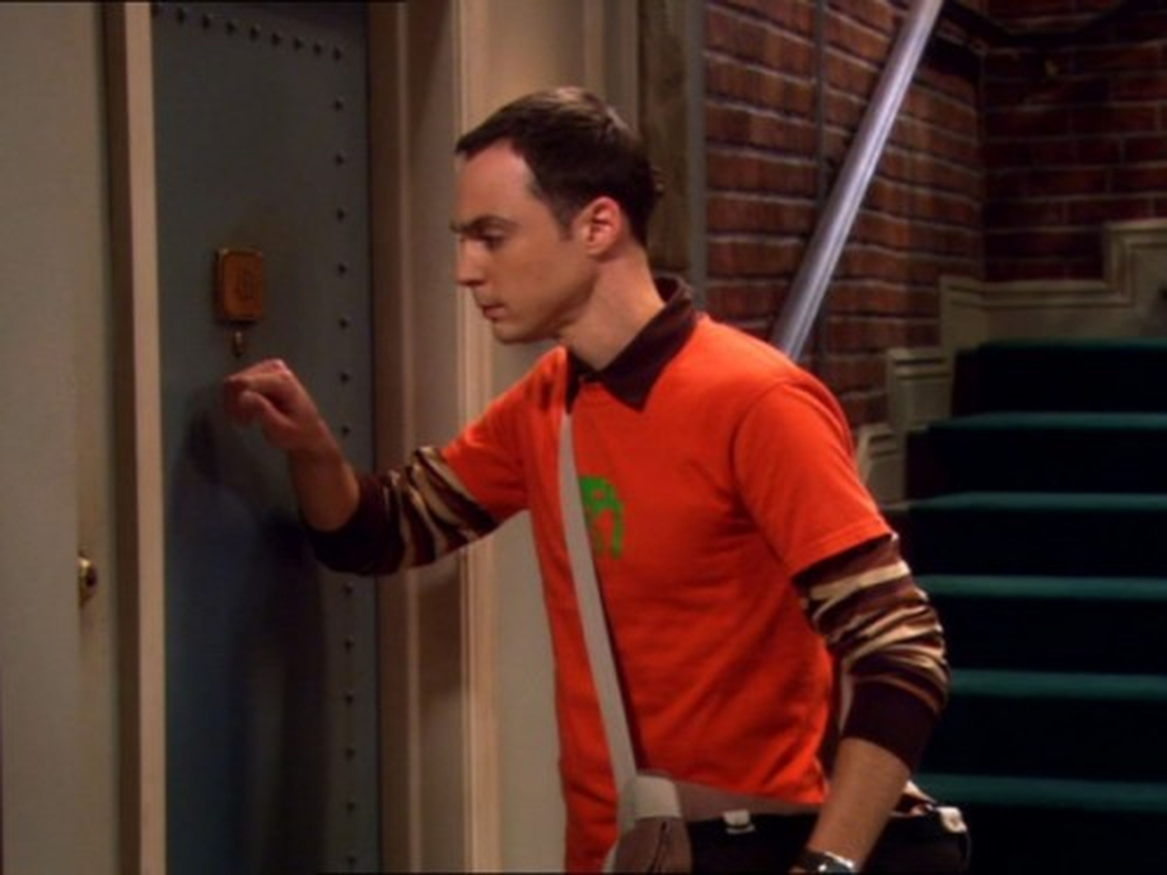 Sheldon llama - The Big Bang Theory