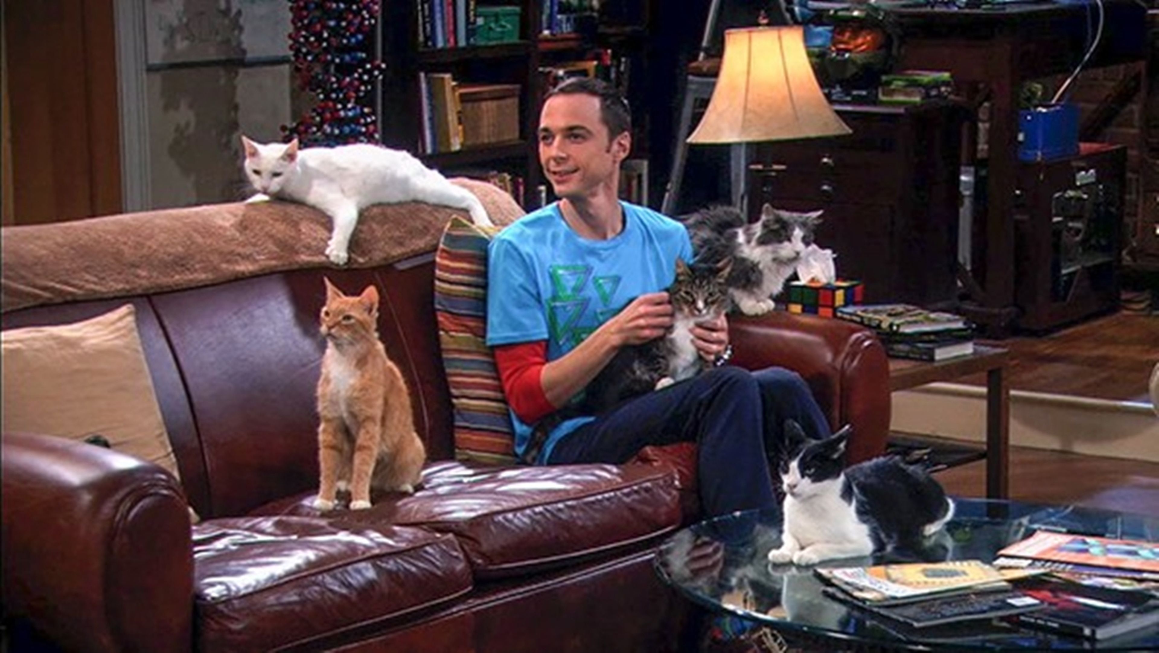 TBBT - Sheldon con gatos