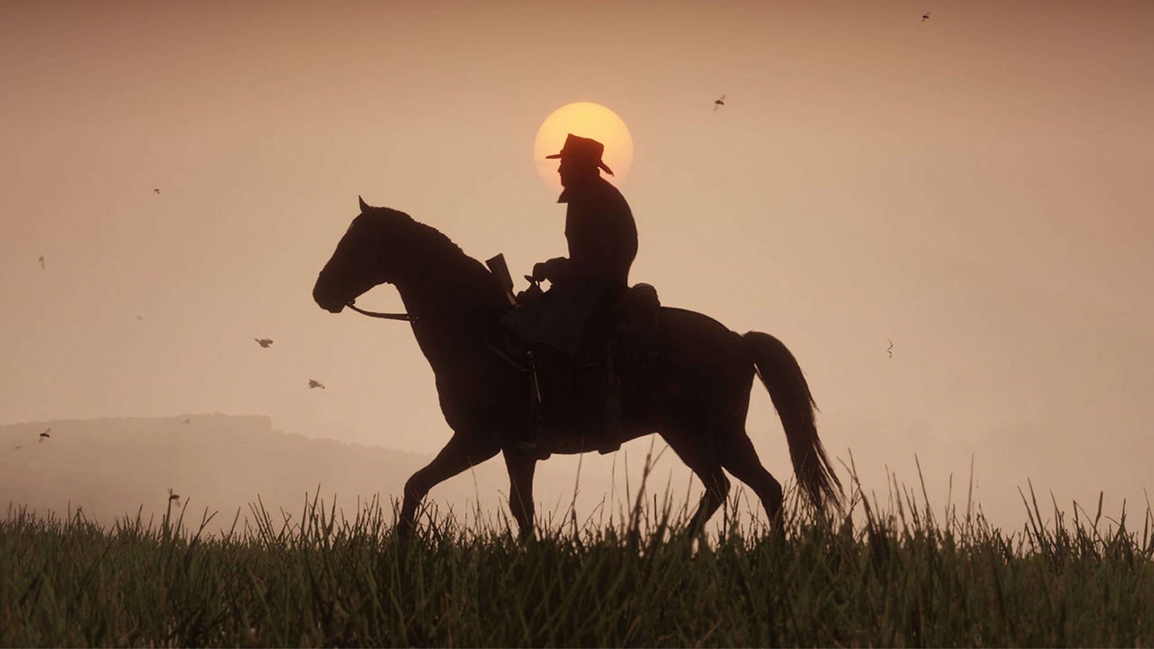 Misterios Red Dead Redemption 2
