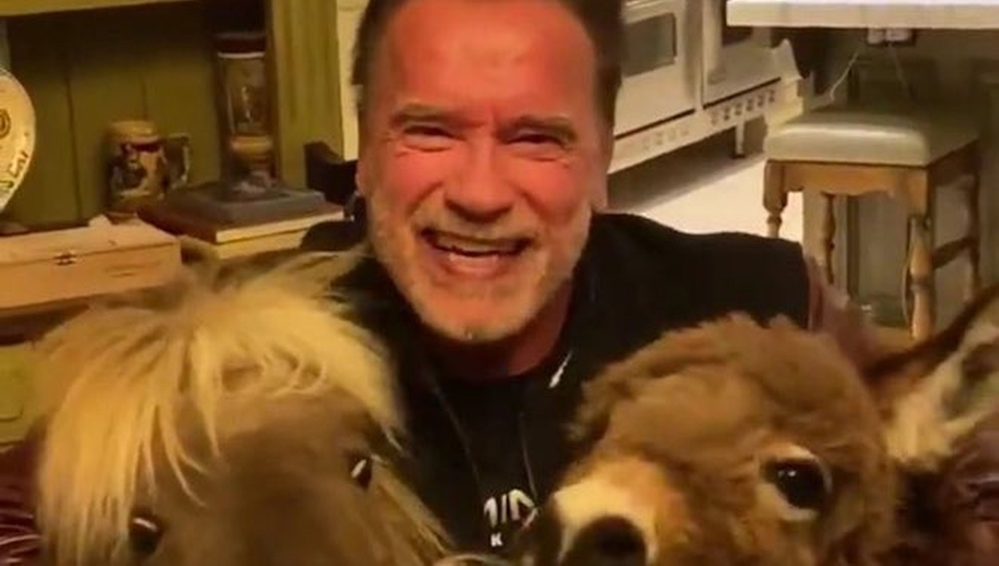 Arnold Schwarzenegger y sus animales